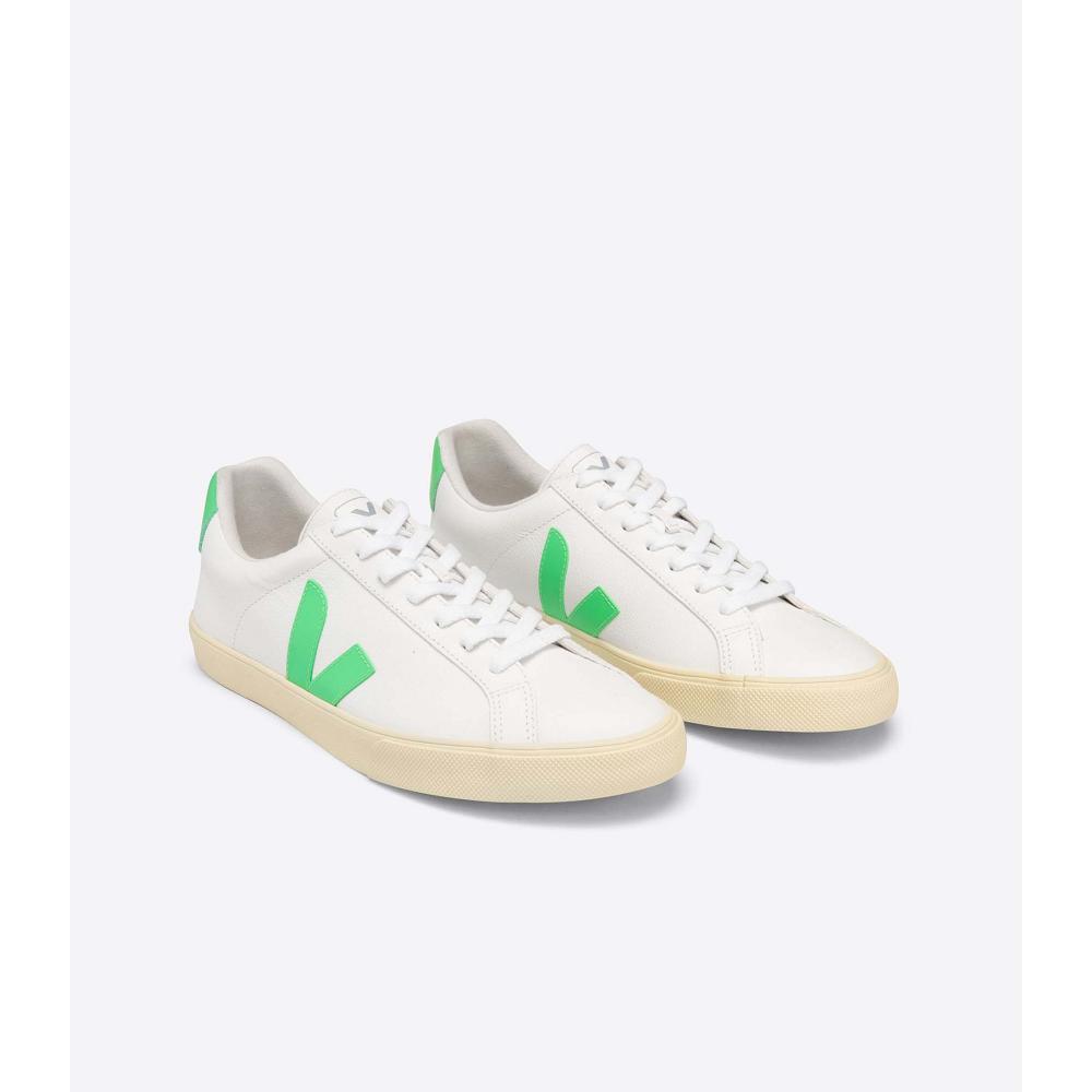 White/Green Men's Veja ESPLAR CHROMEFREE Shoes | AU 192EBC